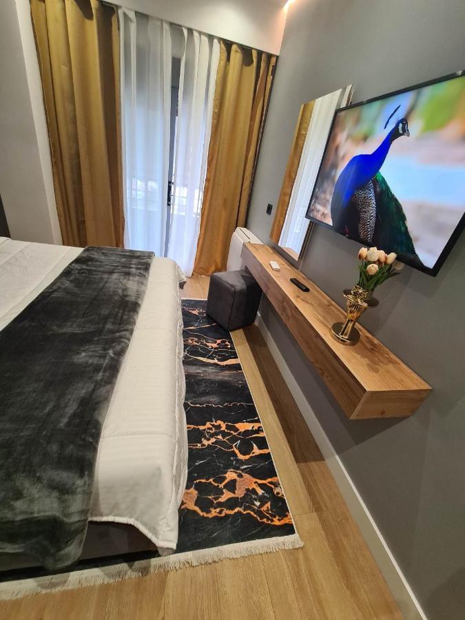 Grey Luxury Apartment Gjirokastër Exterior foto
